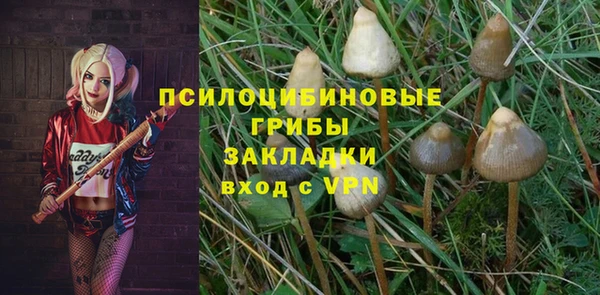 mdpv Верея