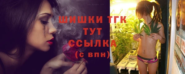2c-b Горно-Алтайск