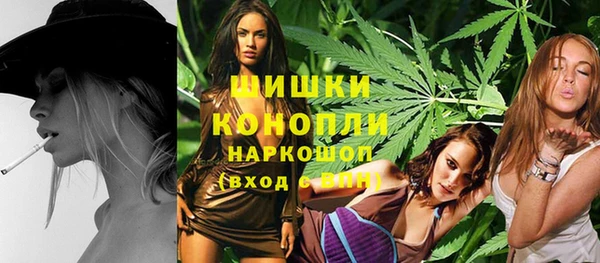 2c-b Горно-Алтайск