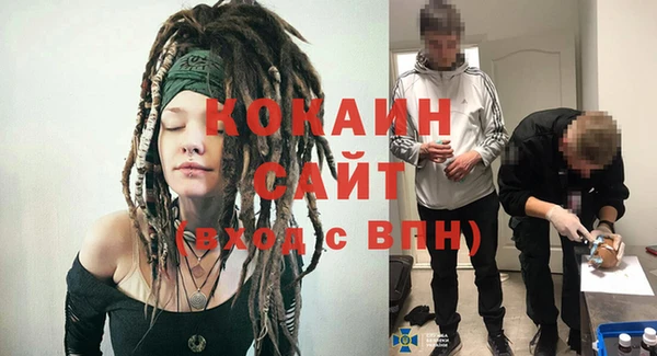 2c-b Горно-Алтайск