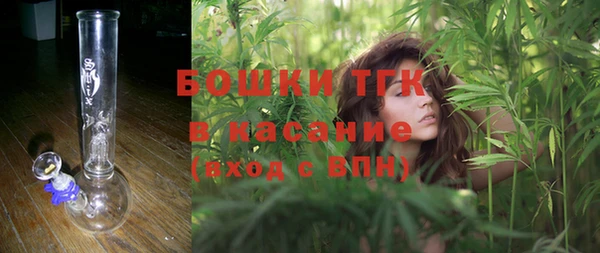 2c-b Горно-Алтайск