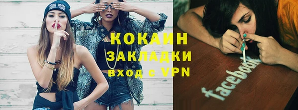 2c-b Горно-Алтайск